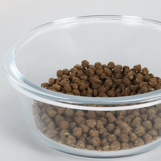 Rainbow Translucent Elevated Pet Tableware