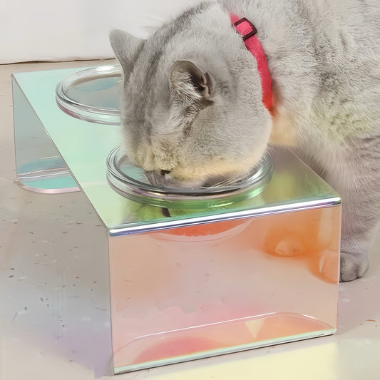 Rainbow Translucent Elevated Pet Tableware