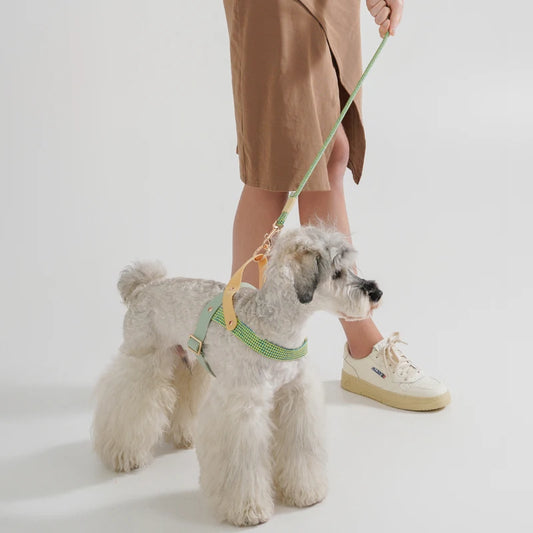 No Pull Neutral Soft Nylon Pet Harness And Leash Set