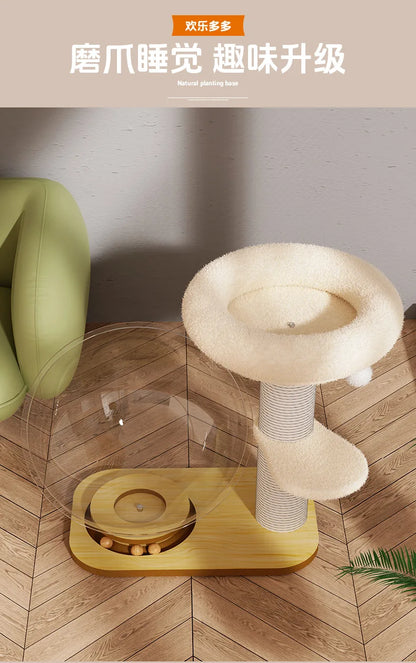 Cat Tree With Transparent Hemisphere Capsule Turntable Cat Toys